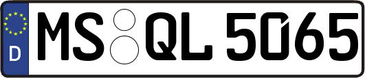 MS-QL5065