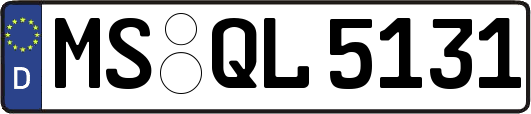 MS-QL5131