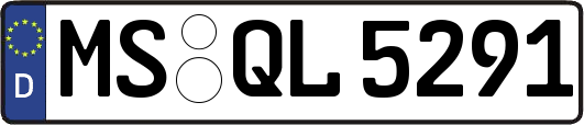 MS-QL5291