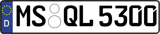 MS-QL5300