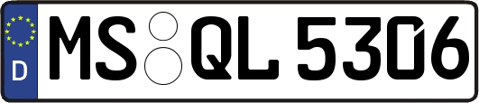 MS-QL5306