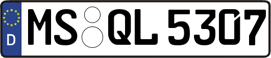 MS-QL5307