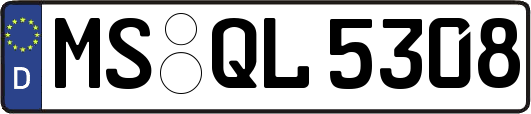 MS-QL5308