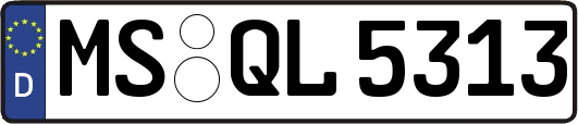 MS-QL5313