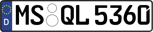 MS-QL5360