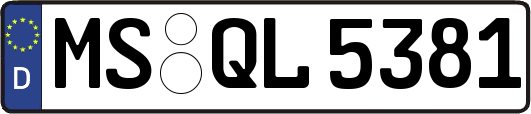 MS-QL5381
