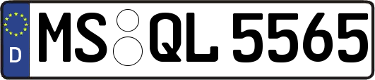 MS-QL5565