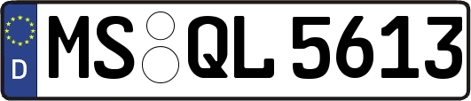 MS-QL5613