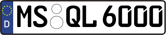 MS-QL6000