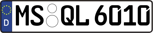 MS-QL6010