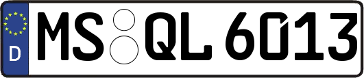 MS-QL6013