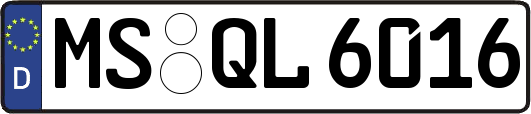 MS-QL6016