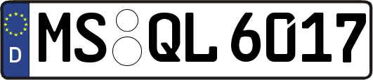 MS-QL6017