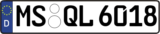 MS-QL6018