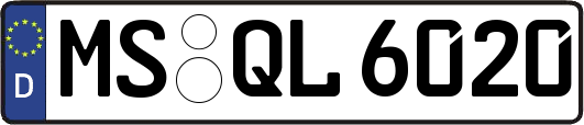 MS-QL6020