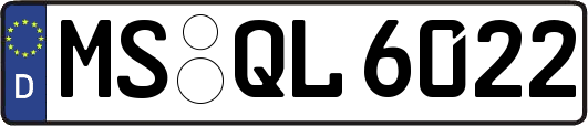 MS-QL6022