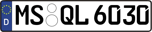 MS-QL6030