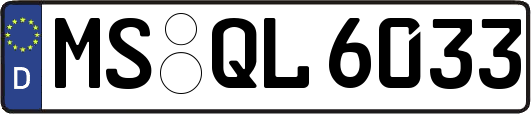MS-QL6033
