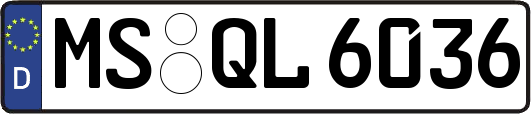 MS-QL6036