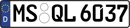 MS-QL6037