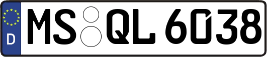 MS-QL6038