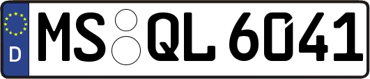 MS-QL6041