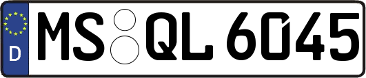MS-QL6045