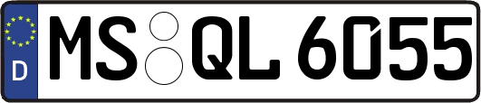 MS-QL6055