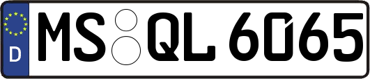 MS-QL6065