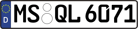 MS-QL6071