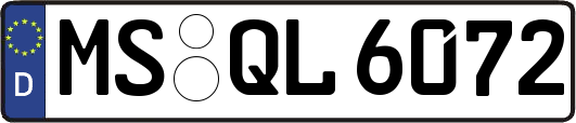 MS-QL6072