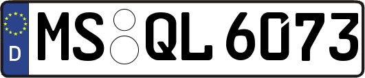 MS-QL6073
