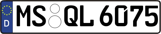 MS-QL6075