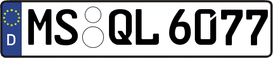 MS-QL6077