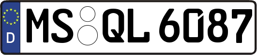 MS-QL6087