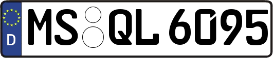 MS-QL6095