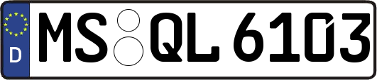 MS-QL6103