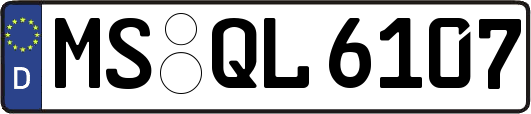 MS-QL6107