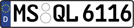 MS-QL6116