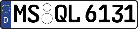 MS-QL6131
