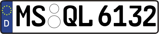 MS-QL6132