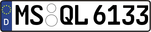 MS-QL6133