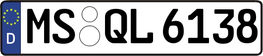 MS-QL6138