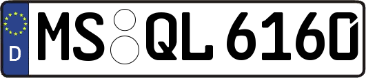 MS-QL6160