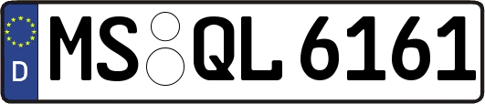 MS-QL6161