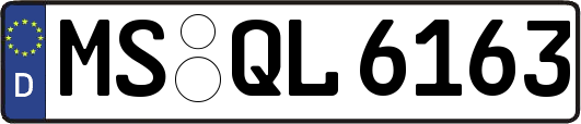 MS-QL6163