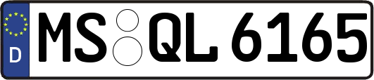 MS-QL6165
