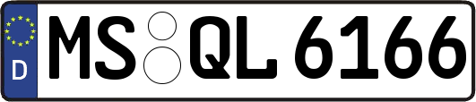 MS-QL6166