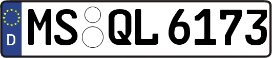 MS-QL6173