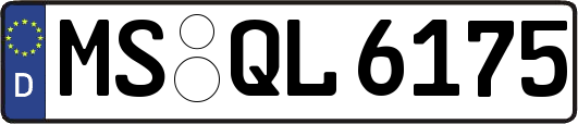 MS-QL6175